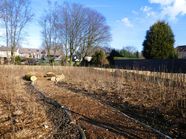 Erster Tiny Forest für Datteln