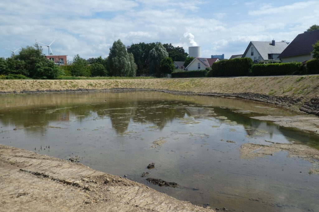 Neu angelegtes Bachbett am Dattelner Mühlenbach mit flachem Wasser, begrünten Böschungen und Wohnhäusern im Hintergrund.