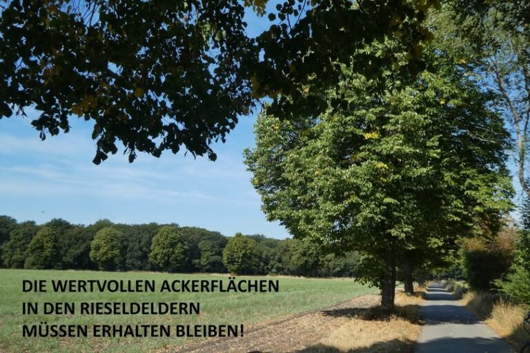 newPark im interkommunalen Wirtschaftsflächenkonzept