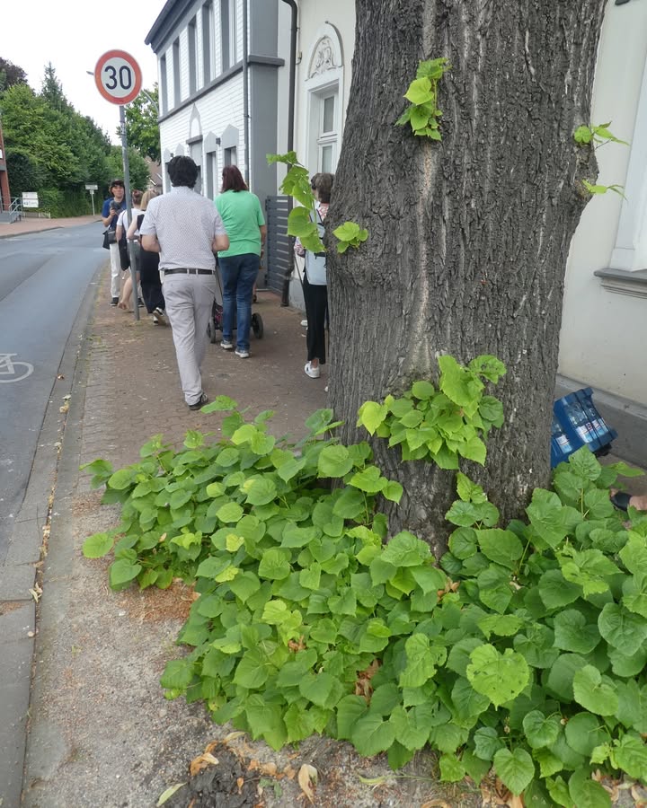 Fußwege sicherer und attraktiver gestalten